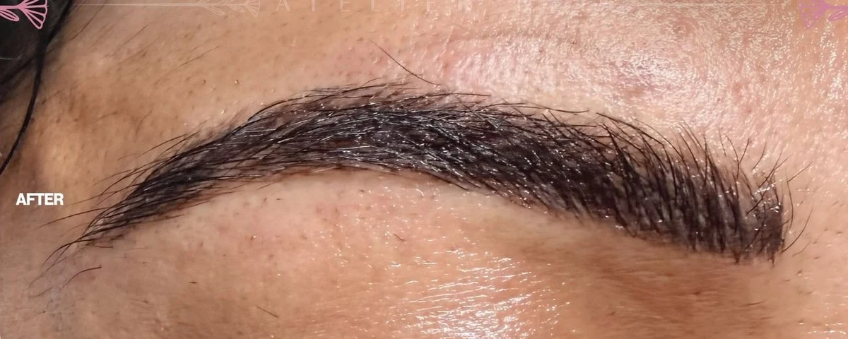 Architectural Brow Sculpting